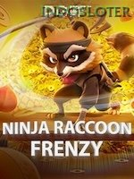 Ninja Raccoon Frenzy game cover